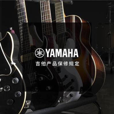 吉他、贝斯和音箱
