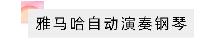 活动报道 | 远程艺术教育大师课活动——SG胜游特邀艺术家张奕明大师课