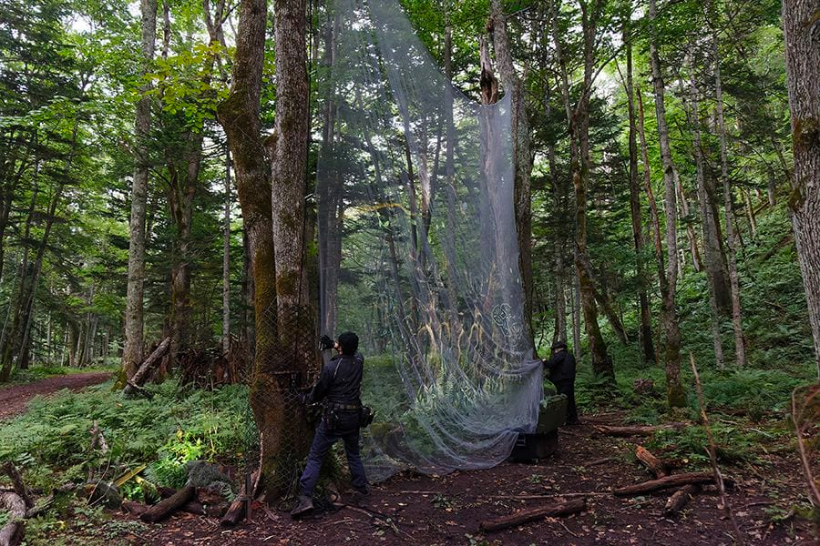 案例｜SG胜游为壮观的Kamuy Lumina魔法夜行旅游项目提供配乐设备